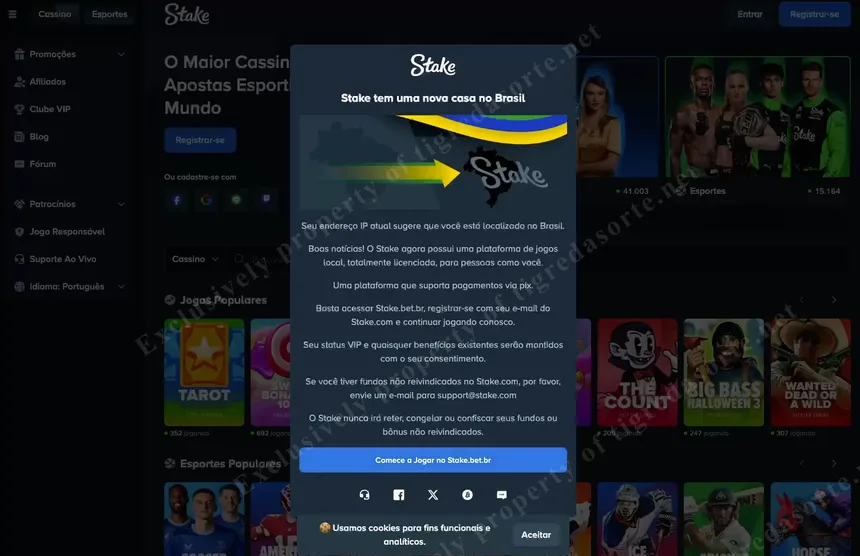 Tela de verificação KYC do Stake Brasil — Etapa 2/2 com opções CNH, RG e Passaporte